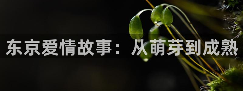 韩国禁18漫画